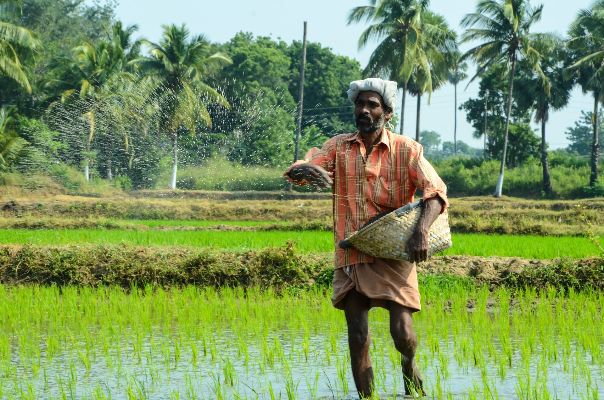 Agriculture Slide