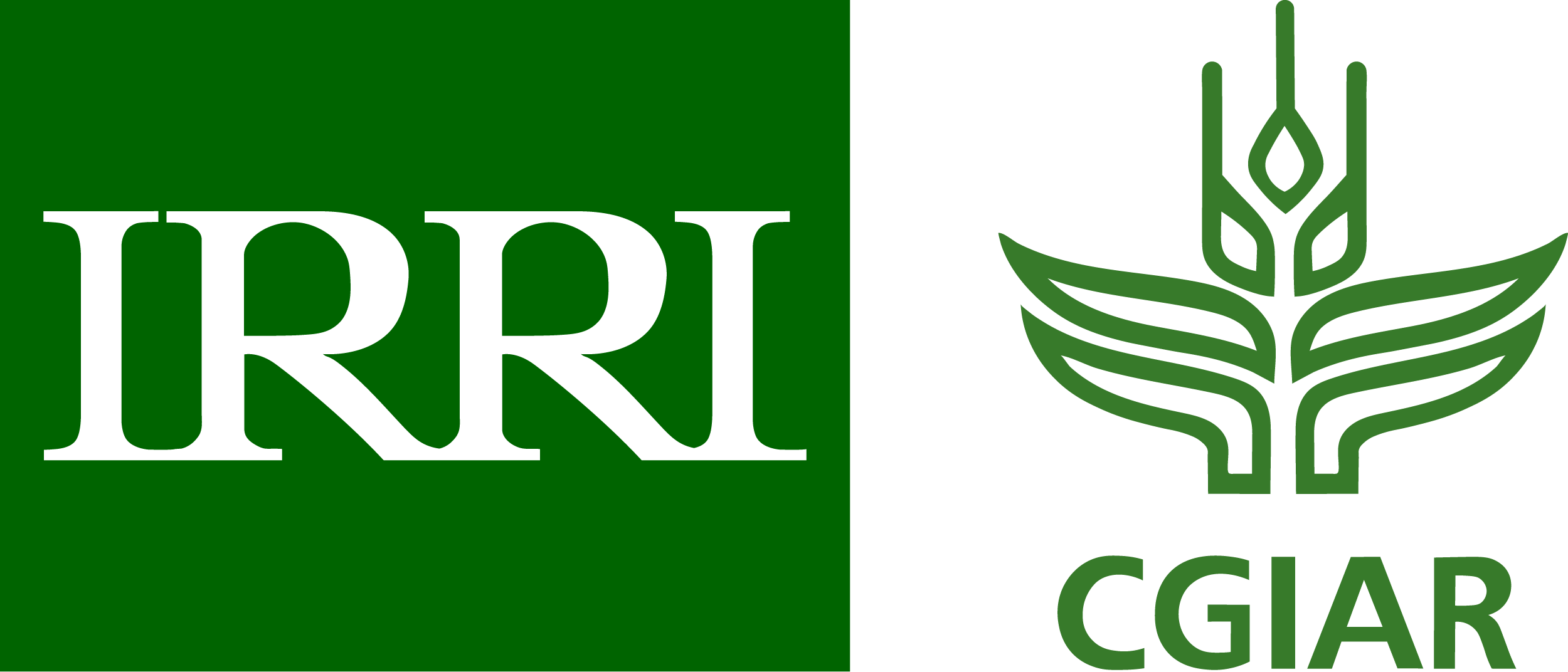 IRRI